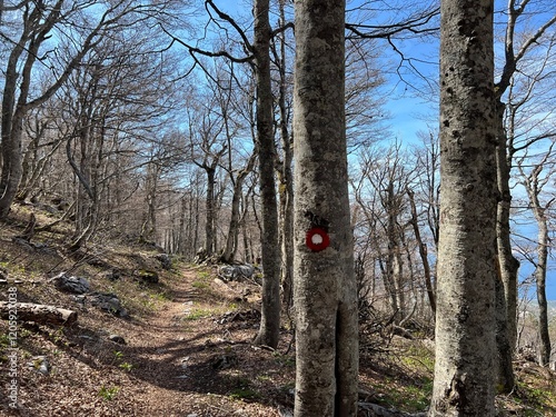 Wallpaper Mural Premuzic hiking trail or Premuzic Trail - Northern Velebit National Park, Croatia or Premuzic-Wanderweg or Premuzic's Trail (Pješački planinarski put Premužićeva staza - NP Sjeverni Velebit) Torontodigital.ca