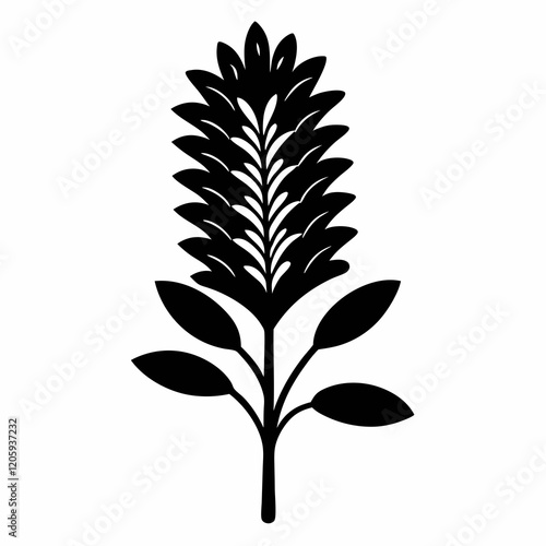 Silky Oak (Grevillea Robusta) Black Silhouette Vector on White Background