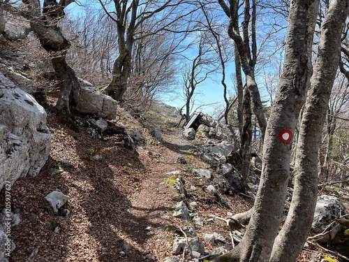 Wallpaper Mural Premuzic hiking trail or Premuzic Trail - Northern Velebit National Park, Croatia or Premuzic-Wanderweg or Premuzic's Trail (Pješački planinarski put Premužićeva staza - NP Sjeverni Velebit) Torontodigital.ca