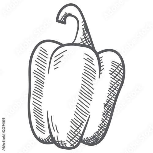 Sweet bell pepper.Pepper paprika.Ripe harvest.Isolated on white background.Hand drawn vegetables vector illustration realistic sketch.