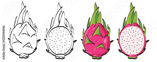 summer tropical fruits for healthy lifestyle red dragon fruit whole fruit and half vector illustration flat cartoon icon isolated on white.Vector eps 10	