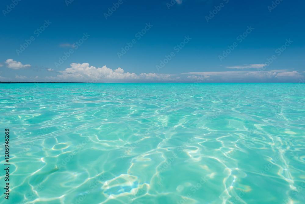 Eaux turquoises peu profondes de l'océan indien au large de Zanzibar Eaux turquoises peu profondes de l'océan indien au large de Zanzibar