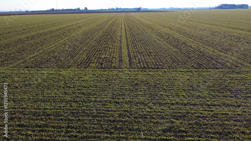 Panorami dal drone della Pianura Padana con campi di grano, campi seminati e terreni di terra rossa di San Giuliano Nuovo - Alessandria - piemonte - Italia photo