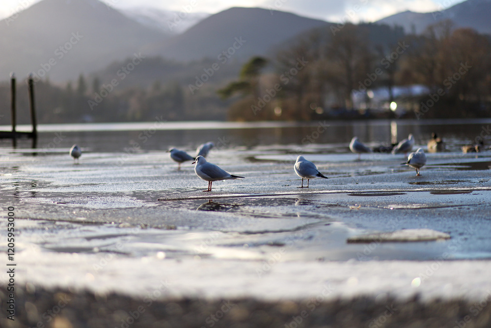Obraz premium seagulls on the pier