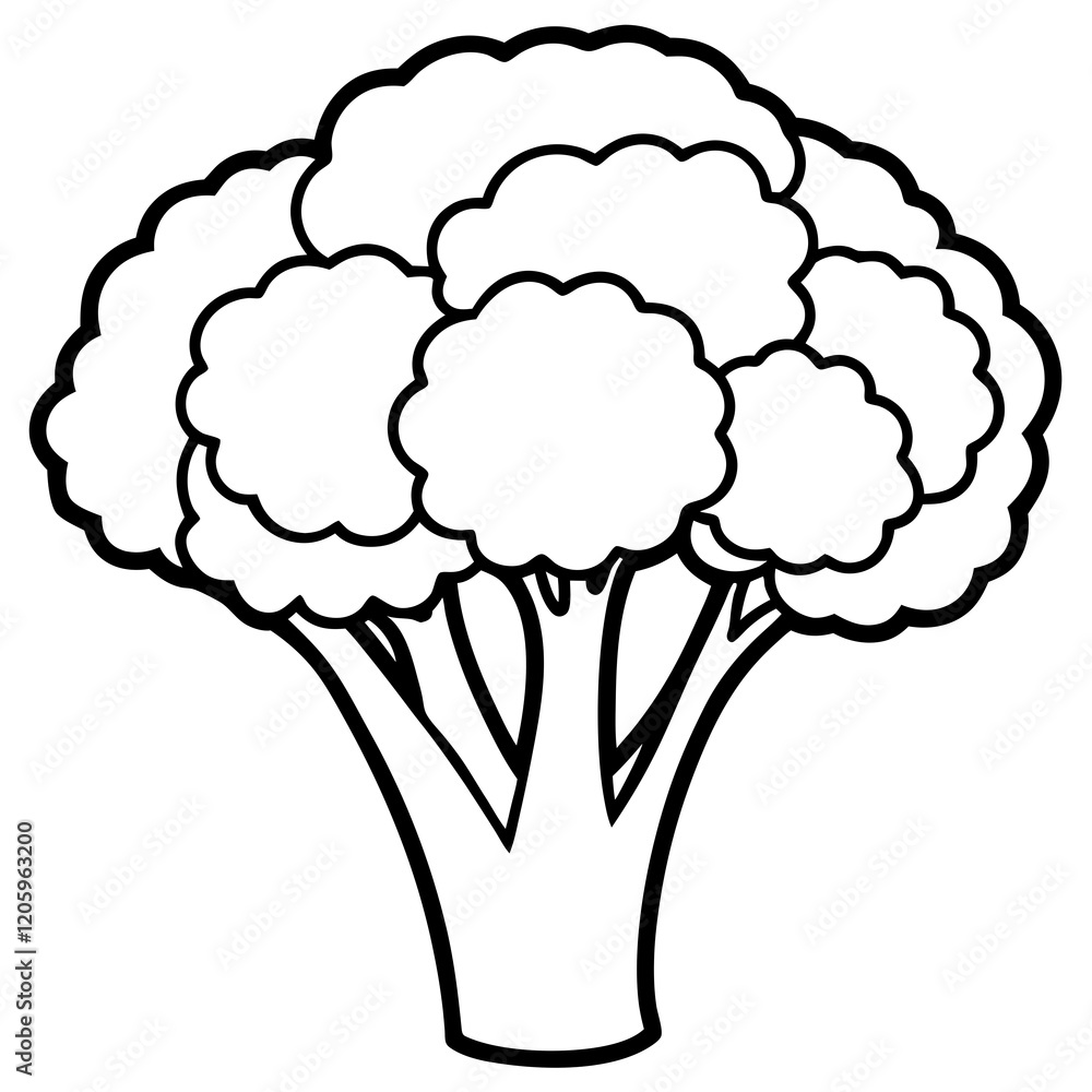 Fresh Broccoli Vector Illustration Fresh Broccoli Vector Illustration