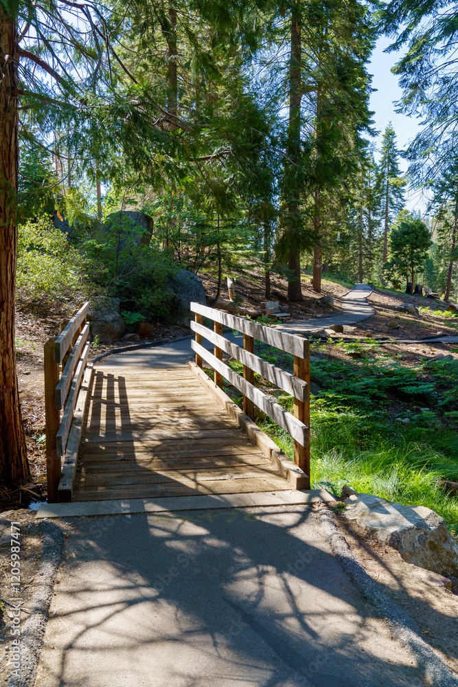 Wooden bridge and walking path in Sequoia National Forest California Wooden bridge and walking path in Sequoia National Forest California