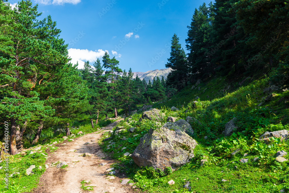 Beautiful mountain landscape with a walking path and a large boulder, among small pines. Caucasus, Elbrus region. Beautiful mountain landscape with a walking path and a large boulder, among small pines. Caucasus, Elbrus region.