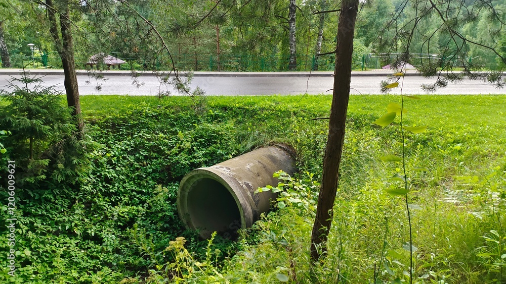 A circular concrete pipe is laid under the paved road running through the park to drain rainwater. Spruce, pine, birch and other trees grow around on grassy lawns. Cloudy summer weather A circular concrete pipe is laid under the paved road running through the park to drain rainwater. Spruce, pine, birch and other trees grow around on grassy lawns. Cloudy summer weather