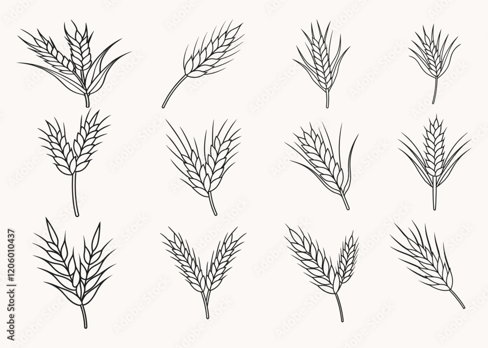 wheat line art style vector illustration isolated on white background. wheat line art style vector illustration isolated on white background.