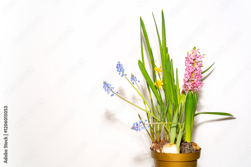 Fototapeta premium bouquet of spring flowers on white background 