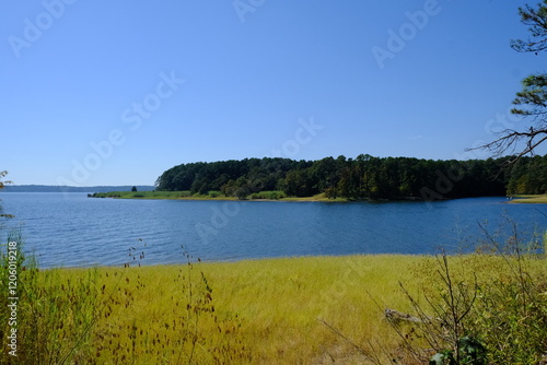 View of Toledo Bend from Sabine National Forest