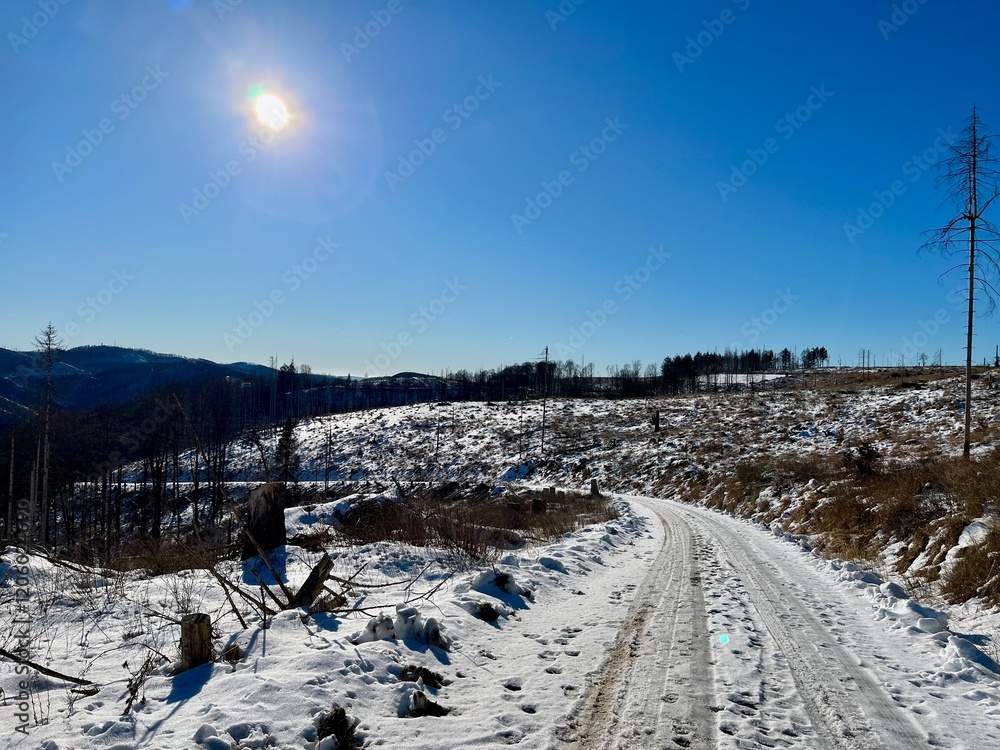 Eine Wanderung von Sieber bei Herzberg zu Hanskühnenburg (Auf dem Acker) Eine Wanderung von Sieber bei Herzberg zu Hanskühnenburg (Auf dem Acker)