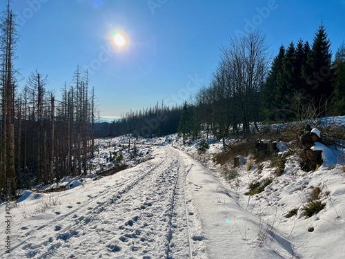 Eine Wanderung von Sieber bei Herzberg zu Hanskühnenburg (Auf dem Acker) photo