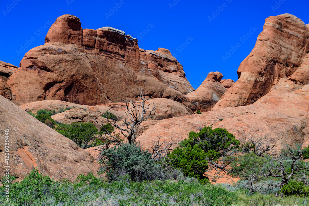 Fototapeta premium Eroded landscape, Arches National Park, Moab, Utah - USA