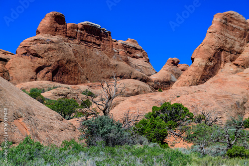 Eroded landscape, Arches National Park, Moab, Utah - USA photo