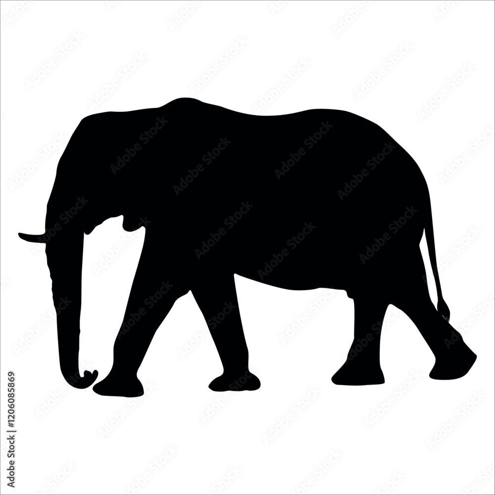Fototapeta premium Animal Elephant silhouette vector illustration