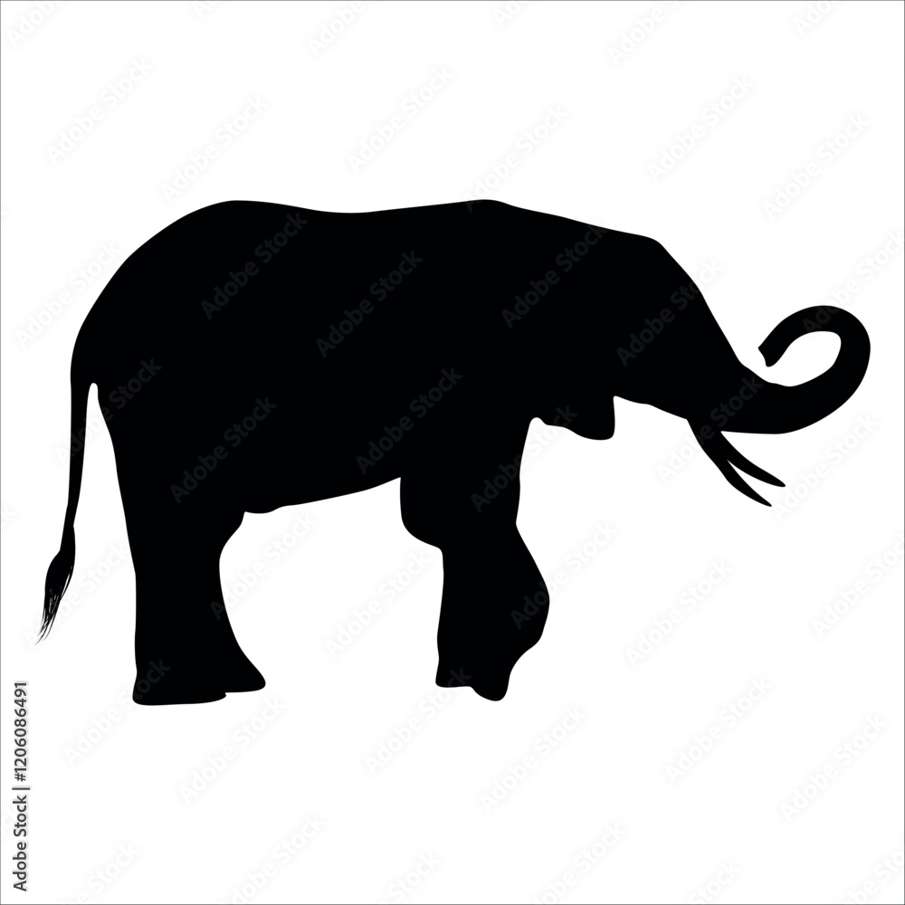 Obraz premium Animal Elephant silhouette vector illustration