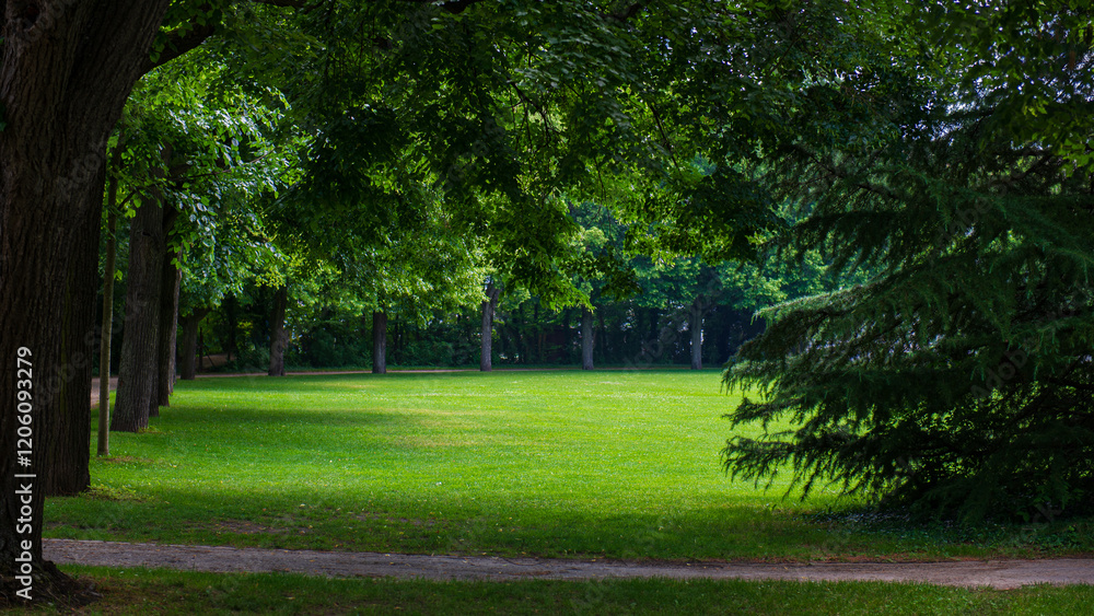 Green lawn and walking path in the spring park. Green lawn and walking path in the spring park.