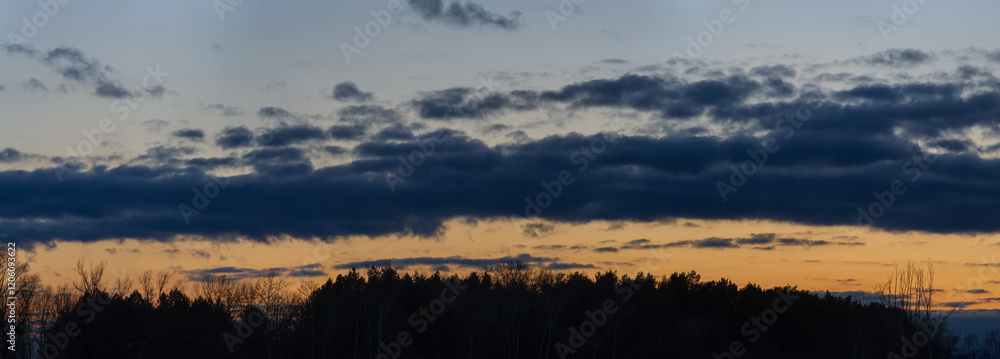 Naklejka premium Dark silhouettes of trees and clouds in the evening sky.