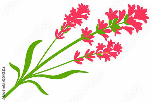 Heather Flower, Clover Blossom, Redwood Branch, Violet Bloom Silhouette on Solid White Background