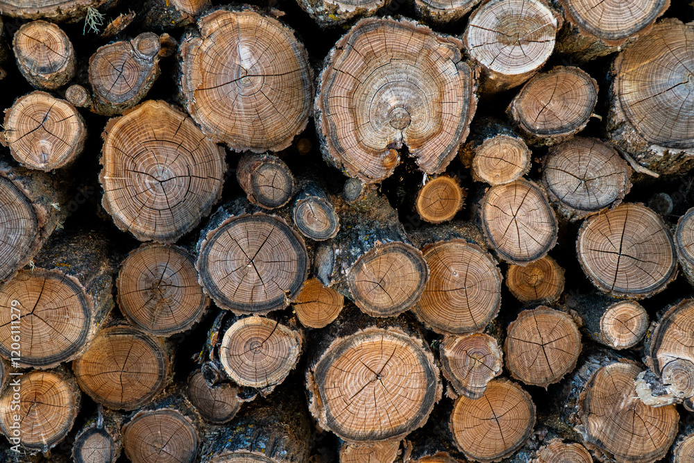 Woods stitched and cutted, small and big Woods stitched and cutted, small and big