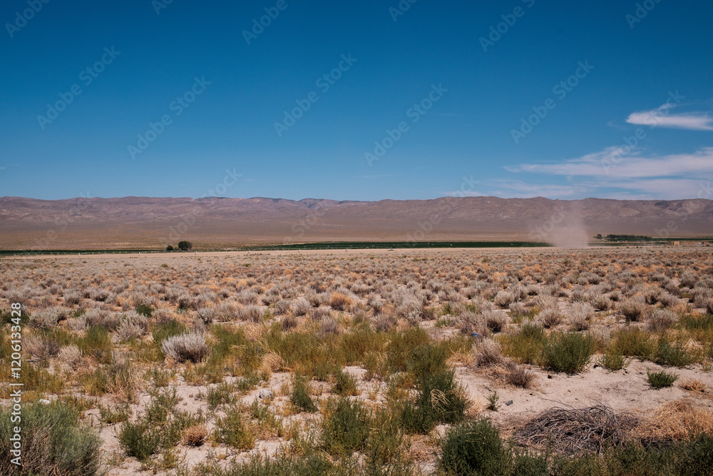 Naklejka premium along the desert highway, nevada, usa