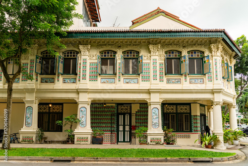 Photography Petain Road corner with colourful shophouses fronts in Singapore