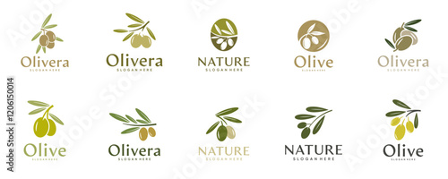 olive oil logo collection, extract, balance, natural ingredients, beauty, design vector template.