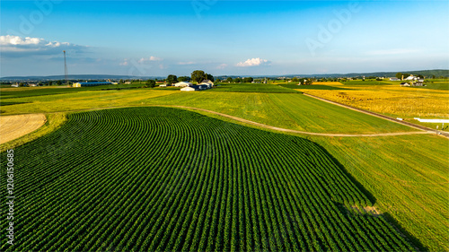 Konstfotografi Lush green crops cover expansive fields in a serene countryside setting