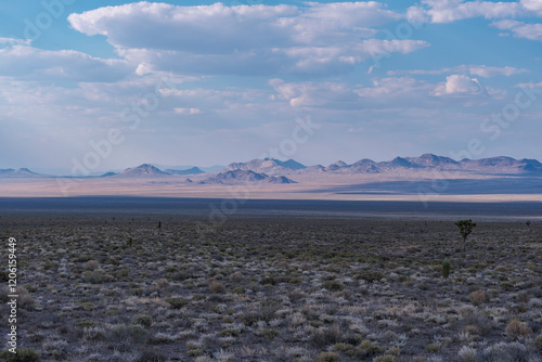 Desert view, Nevada, USA