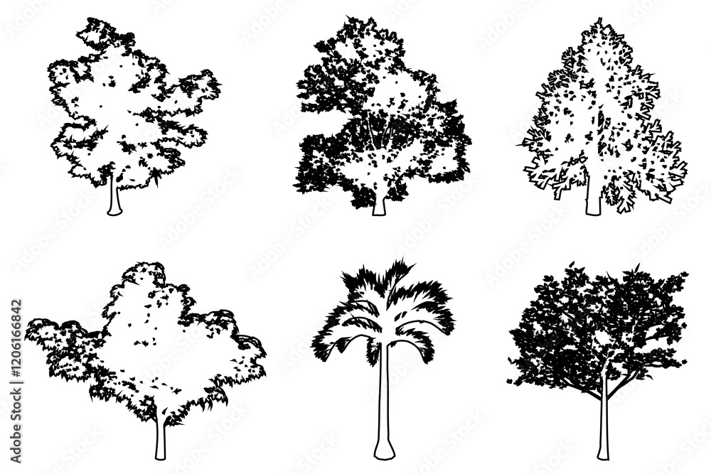 Fototapeta premium Set or collection of trees as a black line drawing silhouette on white background. Concept or conceptual vector for nature, planet, ecology conservation, strength, endurance and beauty