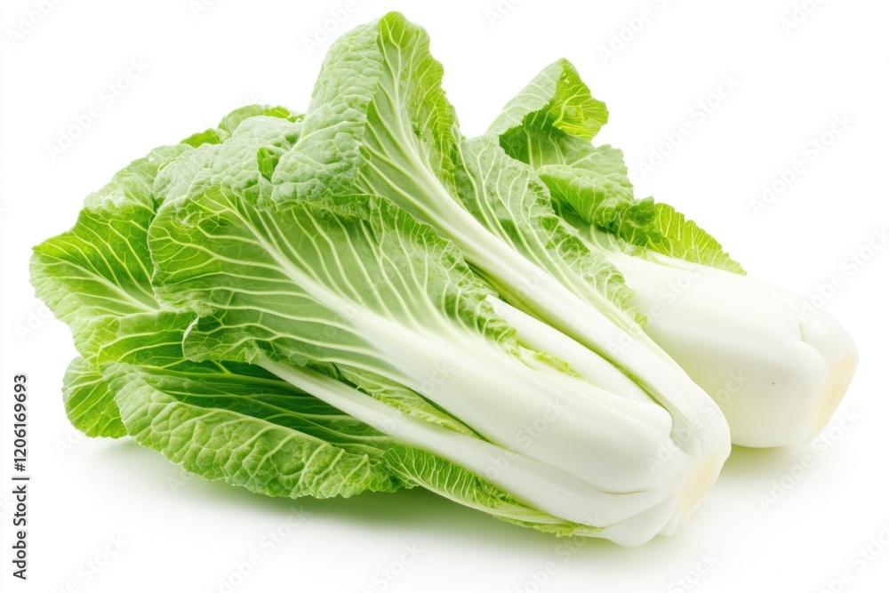 A pair of lettuce leaves stacked on top of each other A pair of lettuce leaves stacked on top of each other
