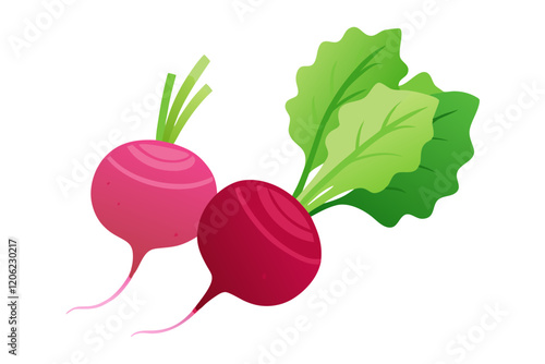 Illustration of beets with green leaves