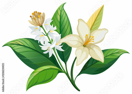 yellow lily isolated on white