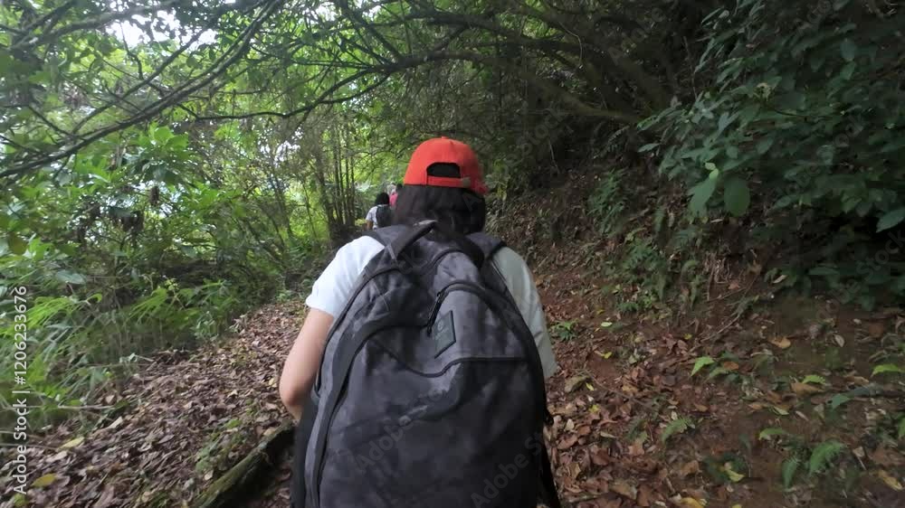 woman walking through a forest in the mountains hiking on vacation woman walking through a forest in the mountains hiking on vacation