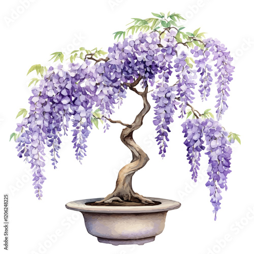 A watercolor illustration of a wisteria bonsai, isolated on a white background. Wisteria bonsai vector.
