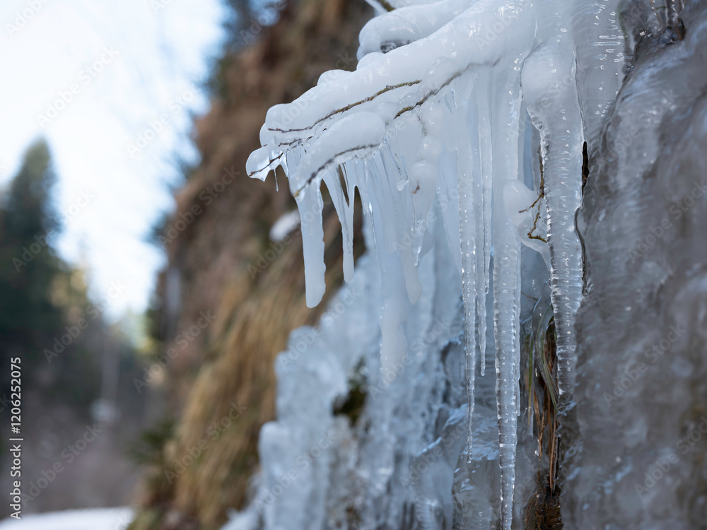 Eiszapfen im Winter am Bach