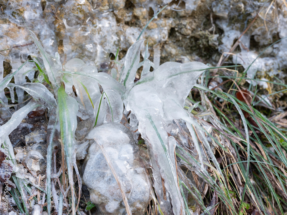 Eiszapfen im Winter am Bach