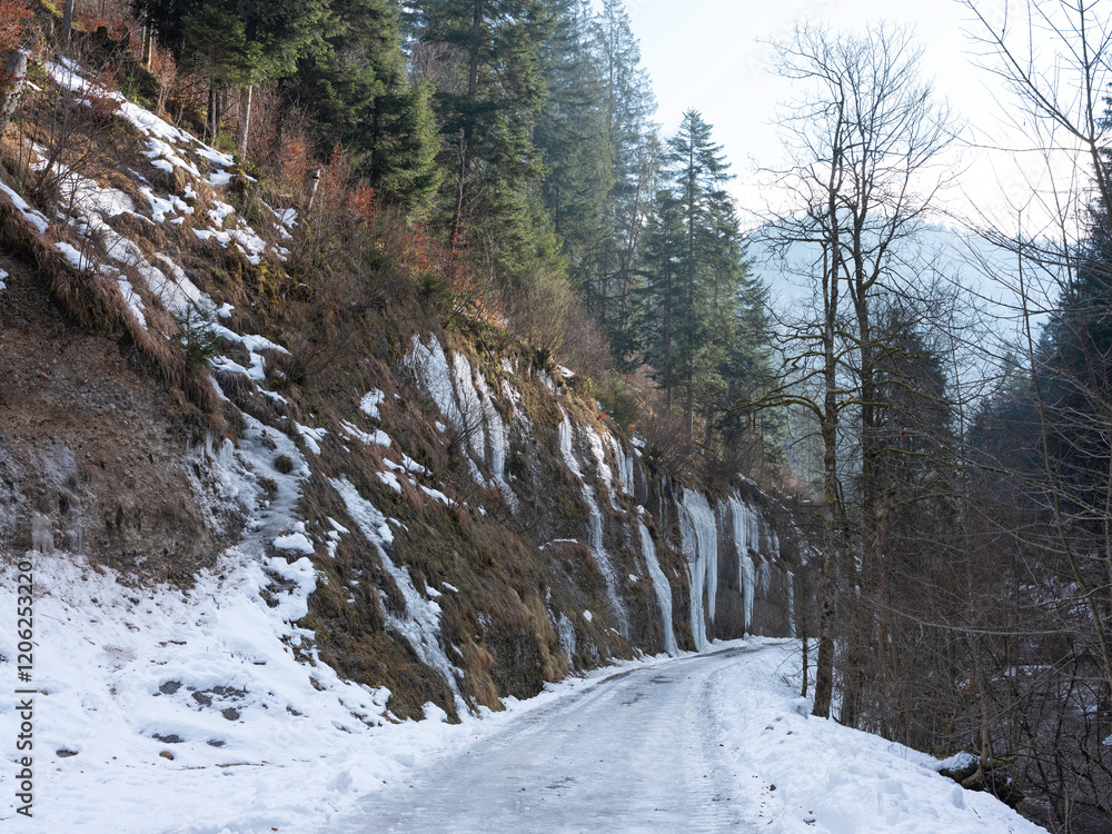 Eiszapfen im Winter am Bach