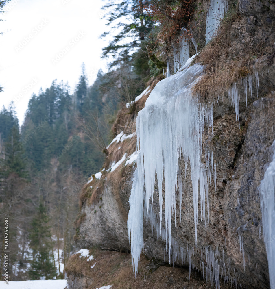Eiszapfen im Winter am Bach