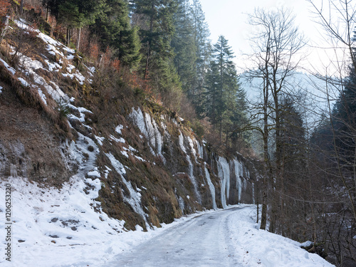 Obraz na płótnie Eiszapfen im Winter am Bach w salonie