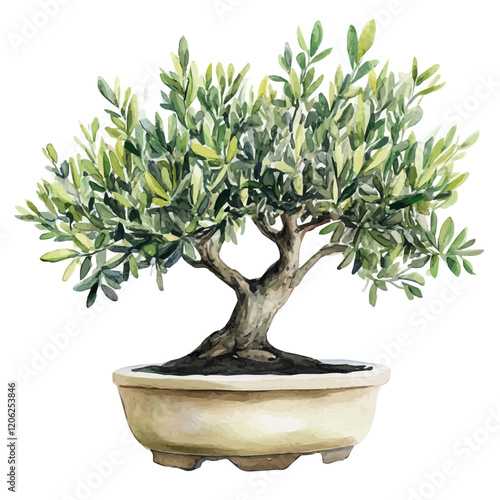 A watercolor painting of a sweet olive bonsai, isolated on a white background. Sweet olive bonsai vector.
