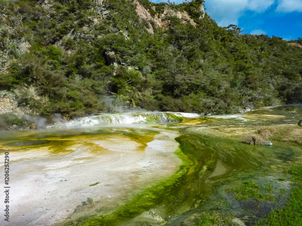 Obraz premium Geothermal hot springs area surrounded by dense forest in lush green valley, Waiotapu Thermal Wonderland, Rotorua, Bay of Plenty, North Island New Zealand. Vibrant thermal formations with rising steam
