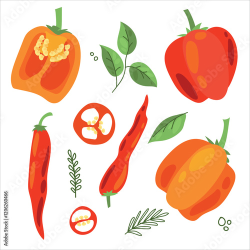 Juicy pepper. Paprika. Hot chili pepper. Seasoning. Useful Vegetables. Harvest. Botanical illustration. Vector illustration
