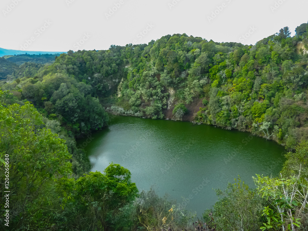 Fototapeta premium Stunning view of green lake surrounded by dense forest in Waiotapu Thermal Wonderland, Rotorua, Bay of Plenty, North Island New Zealand. Peaceful environment. Enjoy nature and unwind in scenic setting