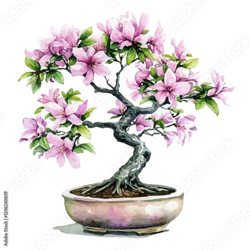 A watercolor painting of a silk floss tree bonsai, isolated on a white background. Silk floss tree bonsai vector.
