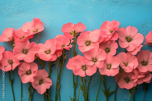 Pink flowers arranged on a blue background create a vibrant display in a cozy...