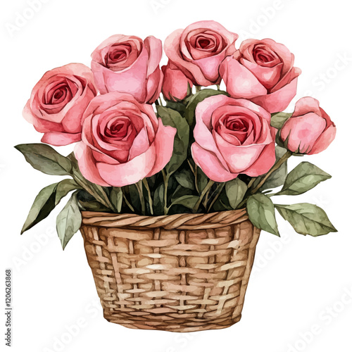 A watercolor vector of a rose bouquet in a basket, isolated on a white background. Rose bouquet in a basket vector.
