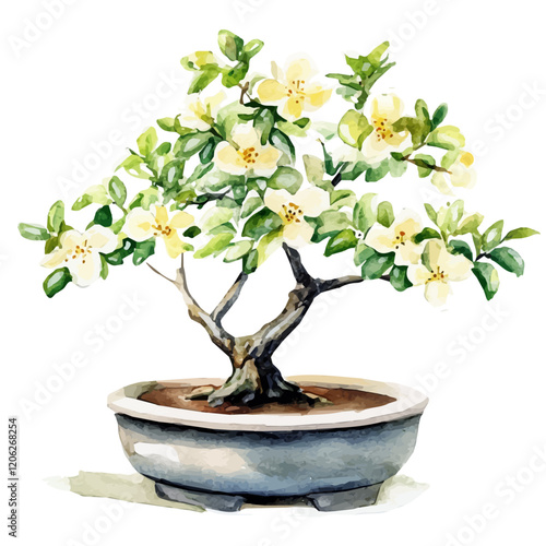 A watercolor painting of an Osage orange bonsai, featuring its distinctive green leaves and thorny branches, isolated on a white background. Bonsai vector.
 photo