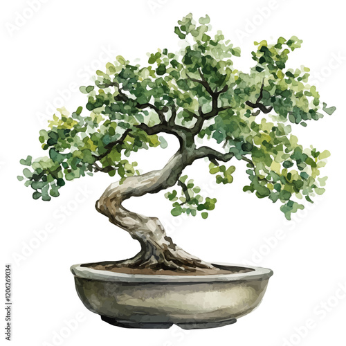 A watercolor clipart of an oak bonsai, highlighting its textured bark and vibrant green foliage, isolated on a white background. Bonsai vector.
